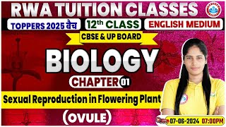 Class 12 Biology Chapter 1  Sexual Reproduction In Flowering Plants Ovule  CBSE amp UP Board 2025 [upl. by Rae980]