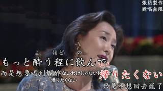 日野美歌  氷雨冰雨卡拉ok字幕平假名注音中文翻譯人聲演唱 [upl. by Leuamme622]