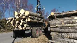 Horse logging Sweden [upl. by Rempe]