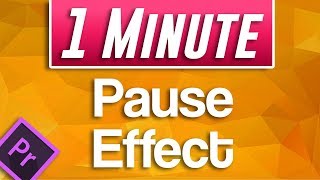 How to do Pause Effect in Premiere Pro [upl. by Benenson]