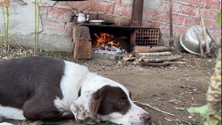 StoveMade Breakfast in Nature  bushcraft food nature camping subscribe cooking shorts [upl. by Mela]