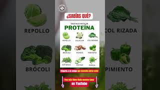 Sabias de estos vegetales Ricos en Proteínas [upl. by Dionysus]