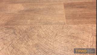 Kaindl Walnut Fresco Root laminate flooring 8x159x1383 mm [upl. by Lazar]