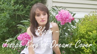 Bloom  Joseph King of Dreams cover [upl. by Haik]