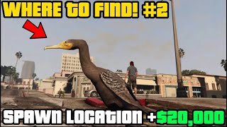 Where To Find Great Cormorant In GTA Online  Easy 100000 [upl. by Garrick]