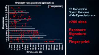 Ancestral ghosts in your genome  Michael Skinner  TEDxRainier [upl. by Arinayed]