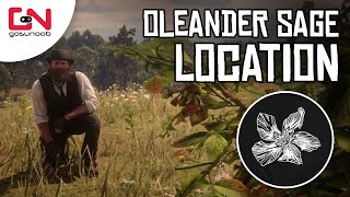 Oleander Sage RDR2 Online  5 Oleander Sage Picked Location  Daily Challenge [upl. by Donaugh]