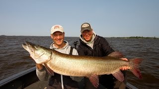 Musky Bucktail Bigtooth Tackle JUICE Series [upl. by Atinat609]