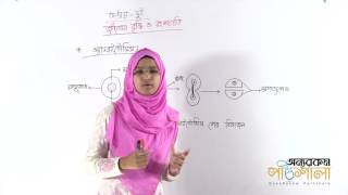 02 Types of Cell Division Part 01  কোষ বিভাজনের প্রকারভেদ পর্ব ০১  OnnoRokom Pathshala [upl. by Ayotnom]