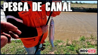 PESCA Y COCINA AL COSTADO DEL CANAL PEJERREYES Y CRIADILLAS [upl. by Debbra]