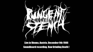 Pungent Stench Aut Live in Vienna Austria December 9th 1988 2024 ReRipMaster GrindDeath [upl. by Ecinrev]