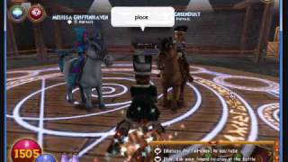 wizard101 arena glitch [upl. by Yerag832]