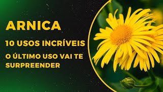 Para que serve arnica  10 usos incríveis O último uso vai te surpreender [upl. by Hose]