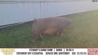 STEWARTS DUROC FARM  DUROC EN 855  NSR Collectors Edition  Nov 20 2024 [upl. by Yannodrahc639]