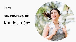 Giải pháp loại bỏ kim loại nặng [upl. by Eads154]