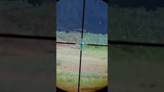 longrangeshooting airgunhunting slowmo scope cam 100 yards [upl. by Igenia]