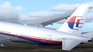 Malaysian Airlines マレーシア航空 [upl. by Winfrid]