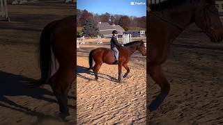 Trotted bareback [upl. by Virginie]