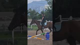 🥰picking her feet UP horse horseriding equestrian shortvideo fyp trending love viralvideo [upl. by Meensat103]