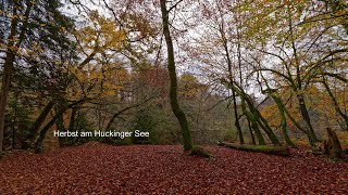 Herbst am Huckinger See der zweite See [upl. by Ardnosac40]