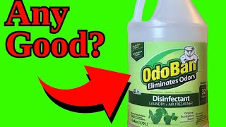 OdoBan Disinfectant Concentrate and Odor Eliminator 4 Gallons Original Eucalyptus Scent [upl. by Narayan]