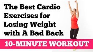 The Best Cardio Exercises for Losing Weight with a Bad Back [upl. by Sined]