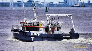 Windpark Schnellboot DEEP SEAPAL offshore highspeed craft PCAA MMSI 246210000 outbound Emden BJ 2011 [upl. by Komsa511]