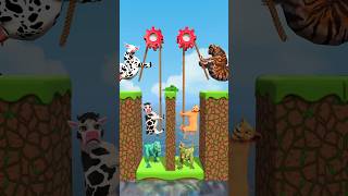 Money Vs Knowledge Help Cartoon Cow vs Tiger What Do you ChooseShorts Cartoon Viral funny [upl. by Tingey756]