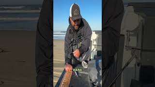 How to get a hook out of your thumb fishing fishingfails [upl. by Asssilem]