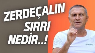 CURCUMİN ZERDEÇAL NEDİR NE İŞE YARAR I ZERDEÇALIN FAYDALARI NELERDİR I ZERDEÇAL NASIL KULLANILIR [upl. by Longley]