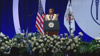 Reactions to Vice President Kamala Harris speech in Indianapolis [upl. by Rhyner]