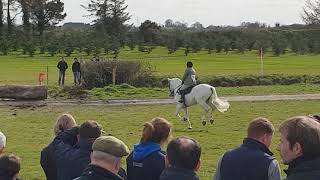 Killinick Bouncer Kildare Performance Show 2019 [upl. by Kelly]