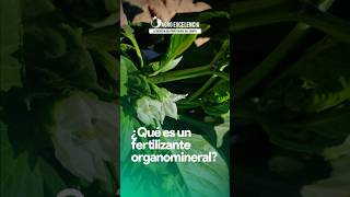 ¿Qué es un fertilizante organomineral 🤔 fertilizante organomineral nutrientes [upl. by Olenolin]