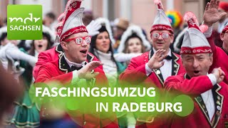 Faschingsumzug Radeburg 2024  „Filmreif RABU – Klappe die 67“  MDR [upl. by Ahsekat131]