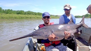 Searching for Giant Paddlefish in Montana [upl. by Buyse981]