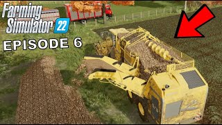 Harvesting The Sugar Beet  Krumbach  Ep6 [upl. by Latsyrc]