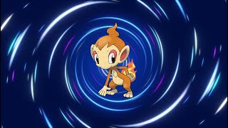 Chimchar Evolution Line [upl. by Isac]