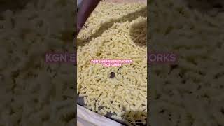 Marconi and paste making machine per hours 100 kg 7503108666ytshorts trending technology food [upl. by Fonda]