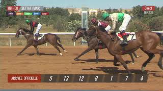 Live Hippodrome « SETTAT »  Courses du « 13052023 » [upl. by Filiano]