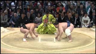 Day11 Harumafuji vs Aoiyama [upl. by Dichy]