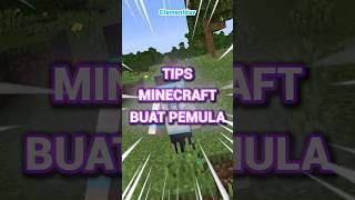 Tips Minecraft Buat PEMULA11 [upl. by Esimaj]