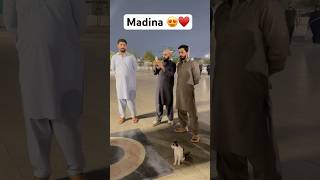 Rajab’s Family Umrah Series Kesi Chal Rahi Hai😍♥️ viralvideo youtubeshorts shorts rajabbutt94 [upl. by Alphonsa]