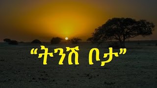 Ethiopia  Amharic poem Nebiy Mekonnen ነብይ መኮንን  Tinish Bota ትንሽ ቦታ [upl. by Alexis]