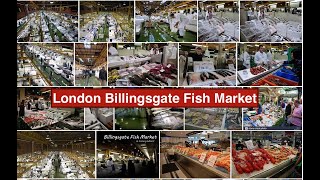 Londons Biggest Fish Market in Billingsgate Fish Market [upl. by Gillmore]