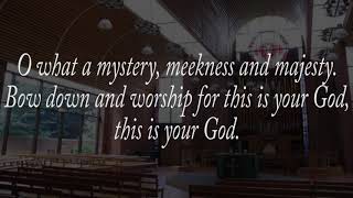 Hymn  Meekness and majesty  Organ accompaniment [upl. by Brandwein]