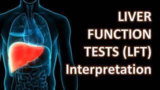 Liver Function Tests LFT and Clinical Interpretation  Crazy Medicine [upl. by Cypro]