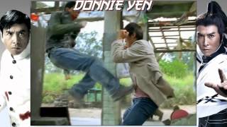 Donnie Yen  Music Video Tribute HD [upl. by Aynekal]