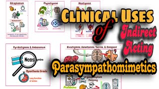 Parasympathomimetics Clinical Uses of Indirect acting cholinergic drugs [upl. by Eckart]