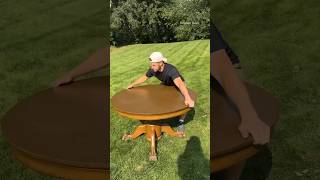 Man Turns Fallen Tree Into Magic shortsvideo [upl. by Ahsin]