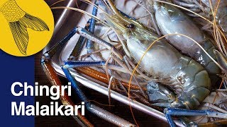 Chingri Malaikari Recipe—Bengali Prawn Malai Curry—Bengali Prawn Curry—Noboborsho Special [upl. by Nogras460]